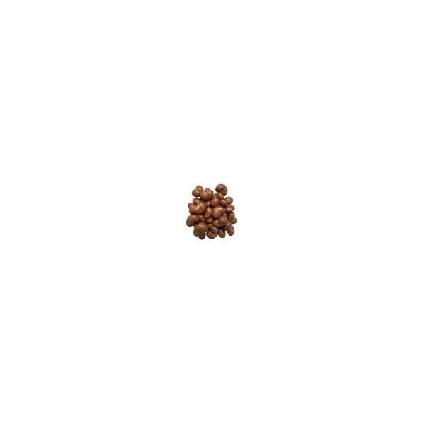 Noix de Cajou au chocolat