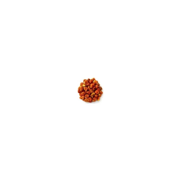 Physalis séché