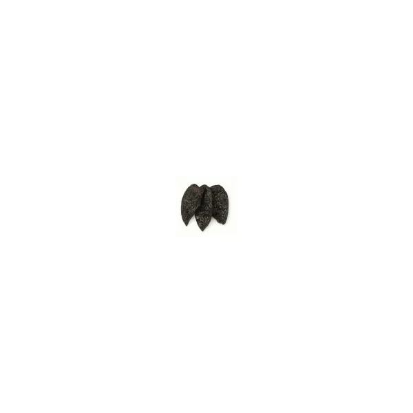 Piment Ancho