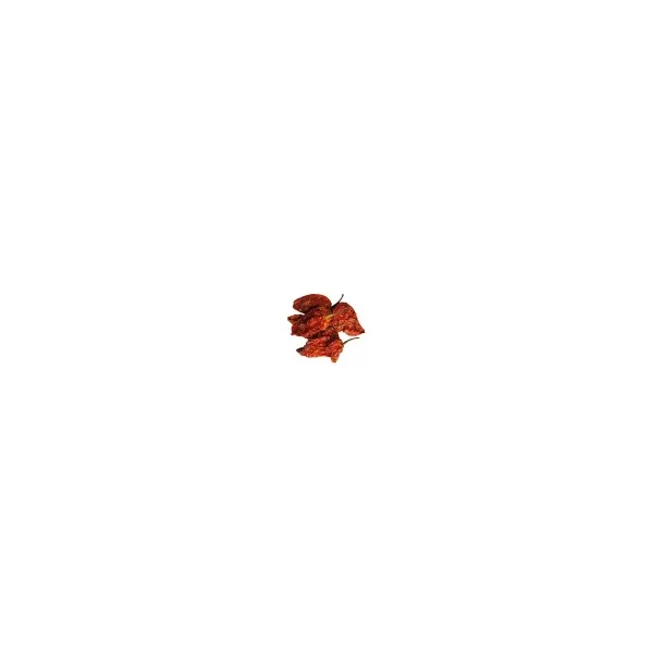 Piment Bhut Jolokia