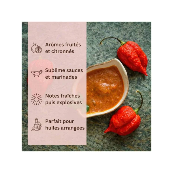 Piment Carolina Reaper