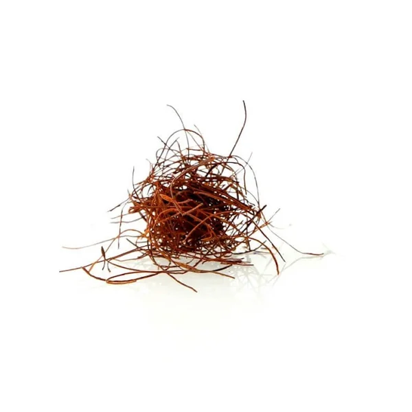 Piment cheveux d'ange