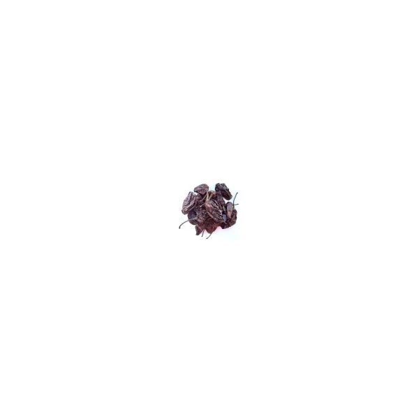 Piment Habanero