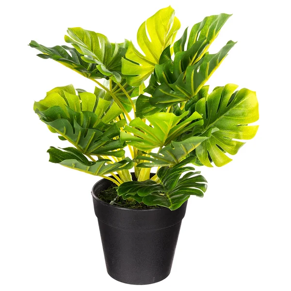 Plante verte artificielle en pot 28x30cm