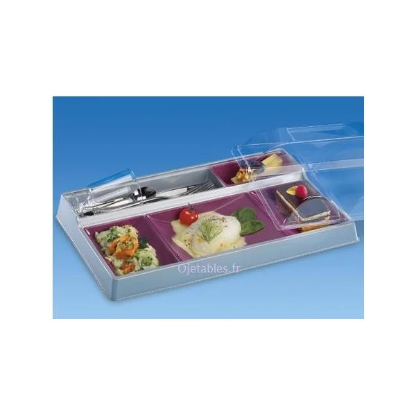 PLATEAU REPAS JETABLE ALPHAFORM à petit prix