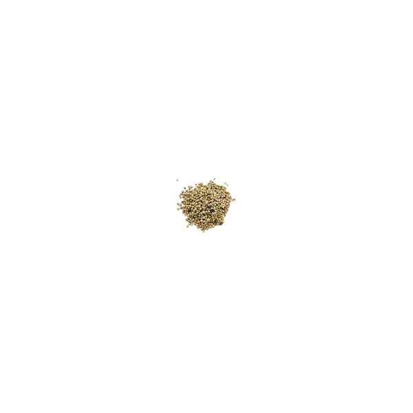Poivre blanc