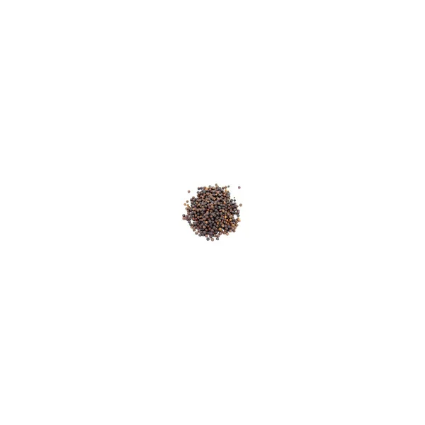 Poivre Jumbo du Kerala BIO
