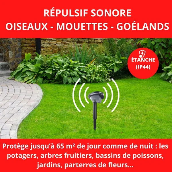 Répulsif sonore oiseaux
