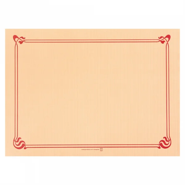 SETS DE TABLE 48 G/M2 31x43 CM IVOIRE CELLULOSE (2000 UNITÉ) - Garcia de Pou