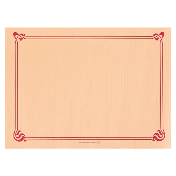 SETS DE TABLE 48 G/M2 31x43 CM SAUMON CELLULOSE (2000 UNITÉ) - Garcia de Pou
