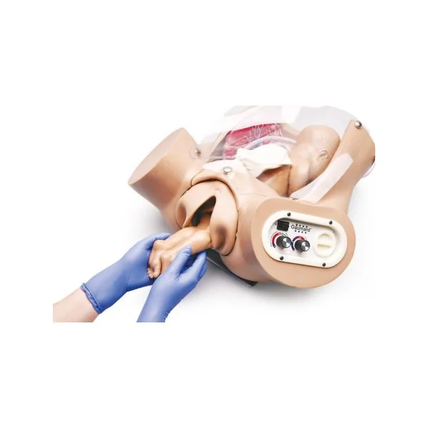 Simulateur d'accouchement R17850
