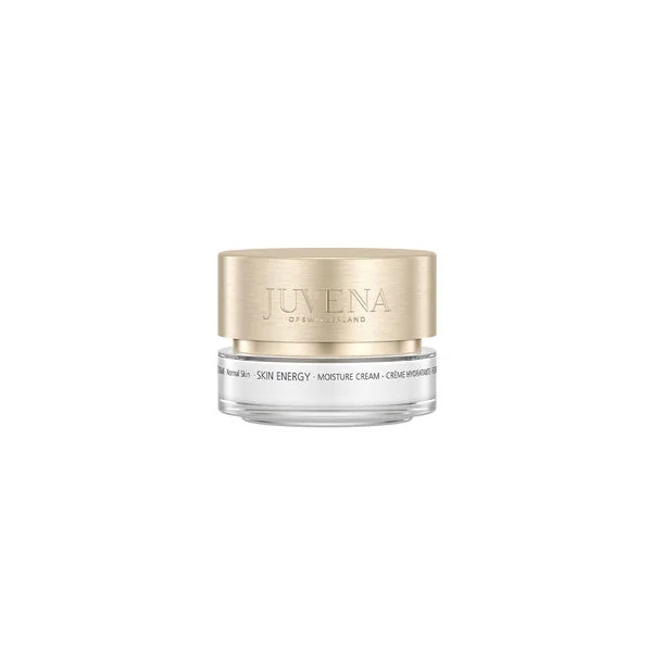 SKIN ENERGY moisture cream