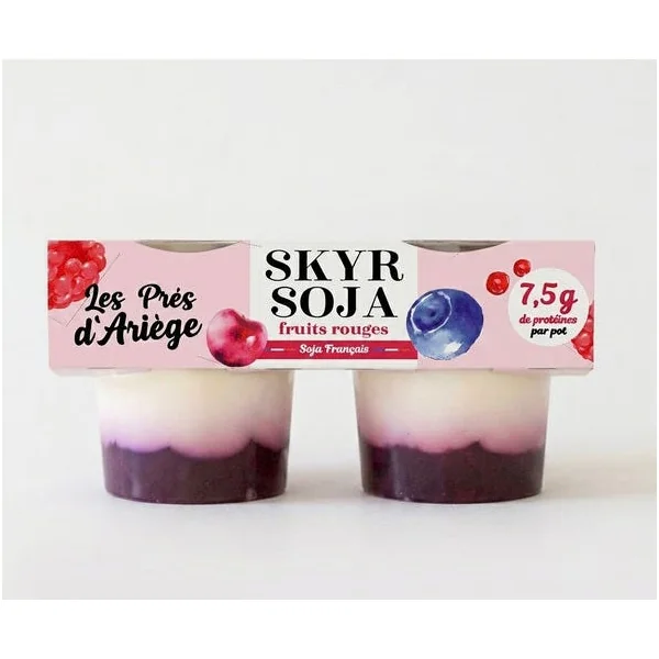Skyr soja fruits rouges 2x125g