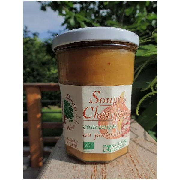 Soupe de châtaignes Potimarron et légumes avec morceaux de potimarron