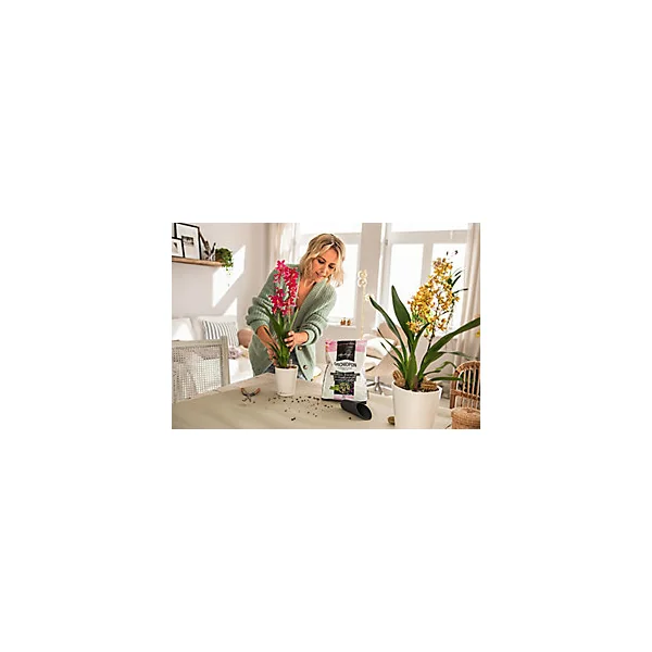 Sustrat spécial Orchidées Lechuza 3L