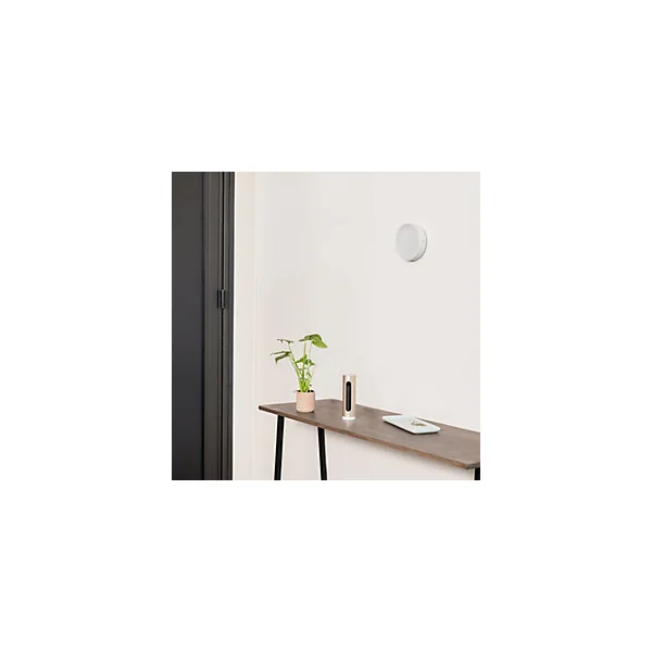Système d'Alarme Vidéo Intelligent Netatmo
