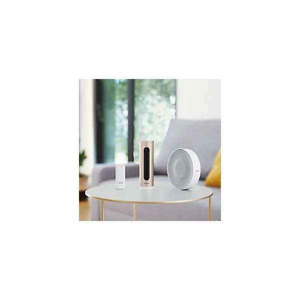 Système d'Alarme Vidéo Intelligent Netatmo