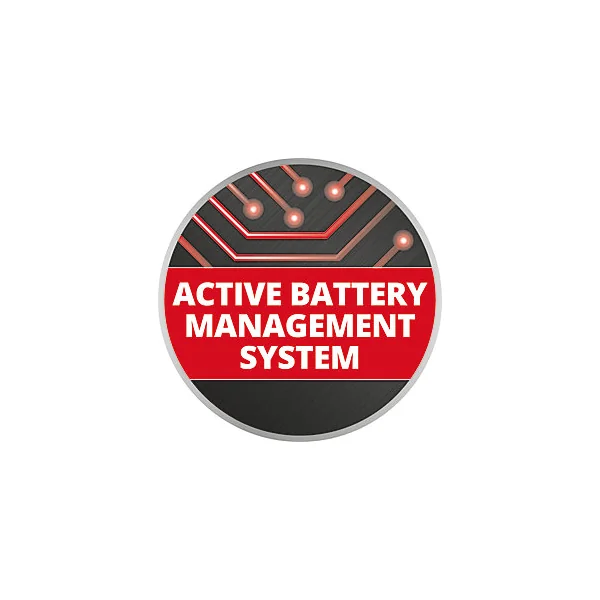 Système Double Batterie 2,5 Ah Power X-Change Einhell (Compatible avec tous les appareils Power X-Change)
