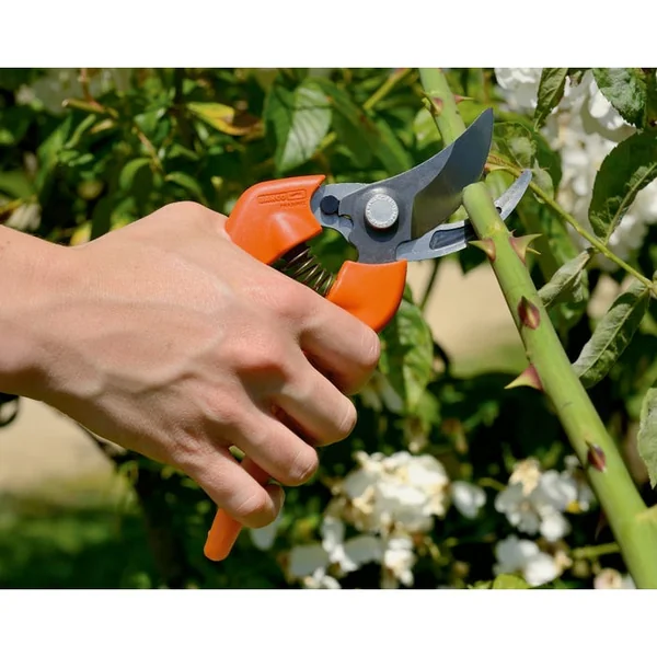 Sécateur à lames croisantes tête de coupe étroite 210 mm