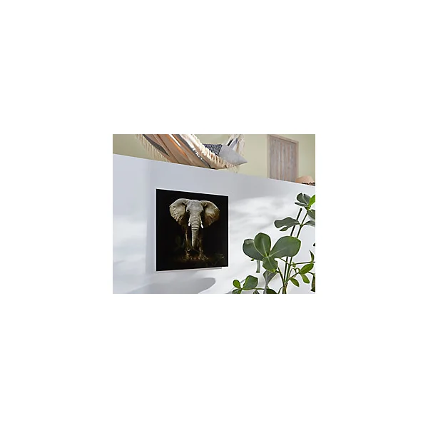 Tableau en verre éléphant 50 x 50 cm