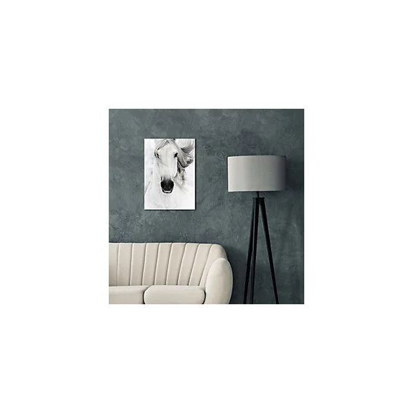 Tableau sur toile cheval blanc l.55 x H.75 cm Dada Art