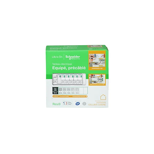 Tableau électrique pré-équipé et pré-câblé 1 rangée - 13 modules (6 inclus) Schneider Electric Resi9 XP