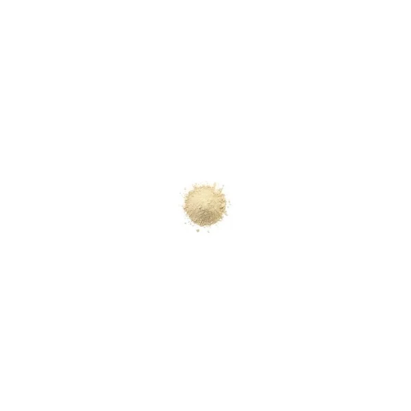 Topinambour bio