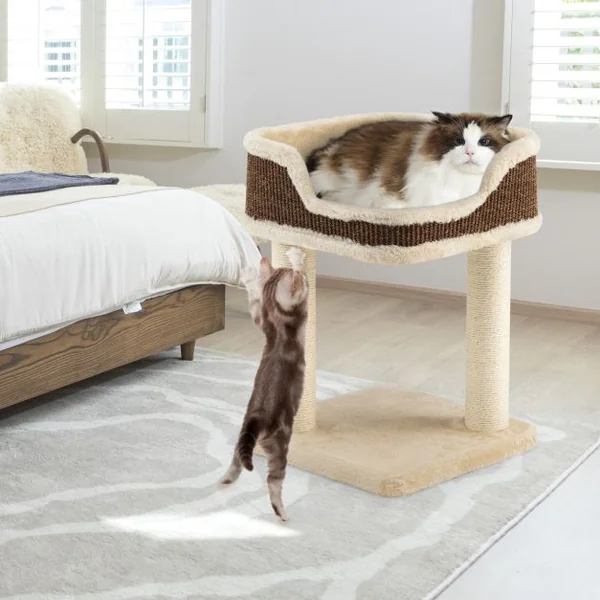 Tour d'Arbre à Chat Compacte avec Perchoir en Peluche et Griffoirs pour se Faire ses Griffes Beige
