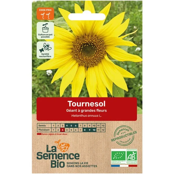 Tournesol Géant à grandes fleurs semence 3,5g