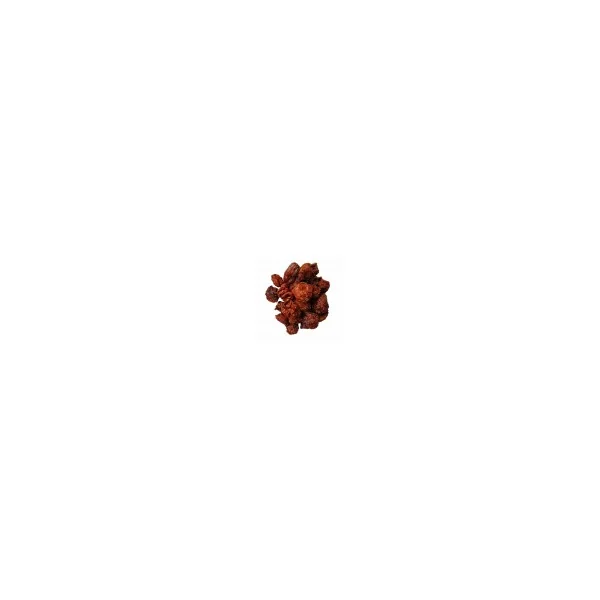 Trinidad Moruga Scorpion