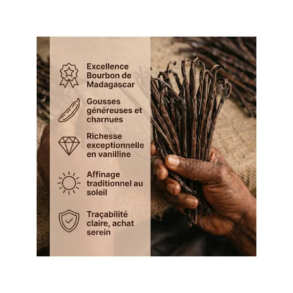 Vanille Bourbon de Madagascar