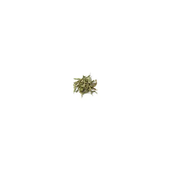 Verveine citronnelle