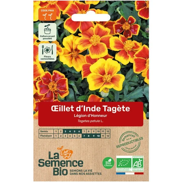 Œillet Inde Tagete Légion semence 0,3g